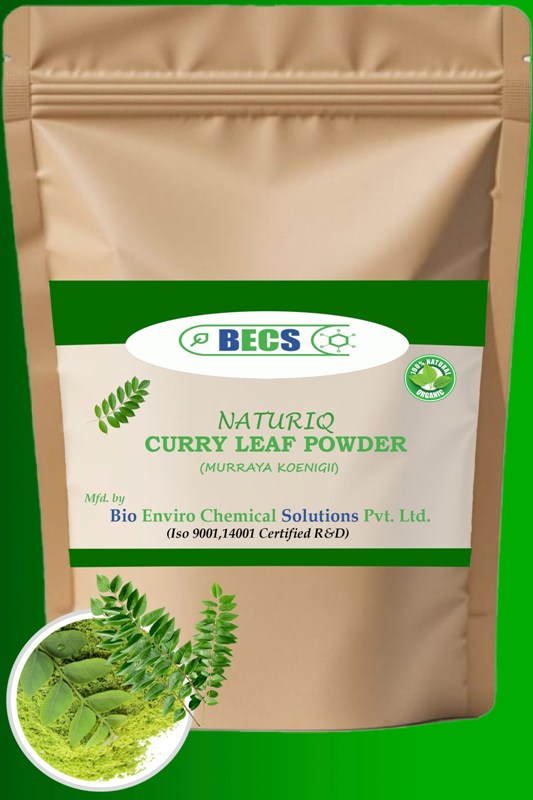 Curry leaves powder